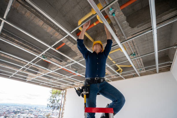 Best Plumbing Inspection Services  in Vallejo, CA
